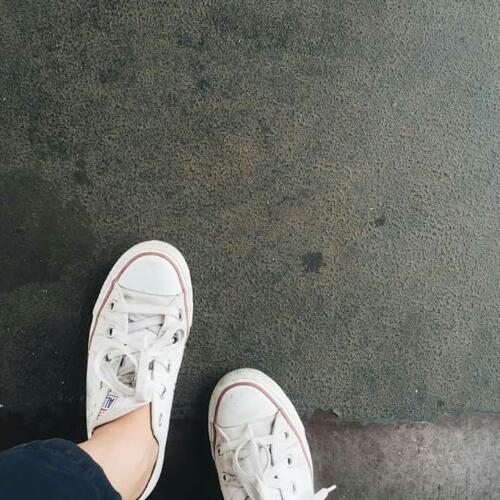 สมาชิกหมายเลข 4433270