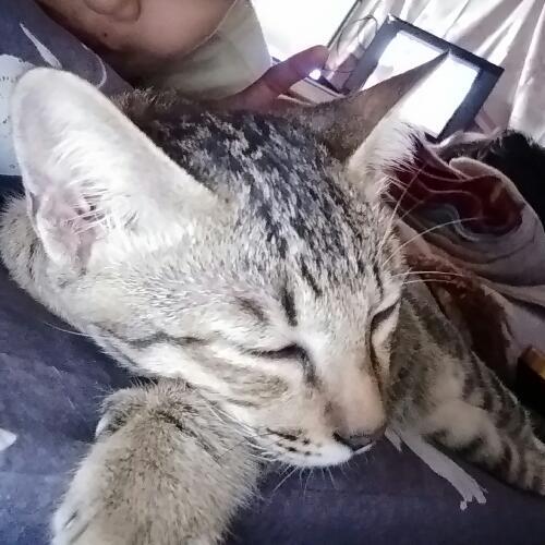 สมาชิกหมายเลข 4813056