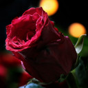 สมาชิกหมายเลข 5270816