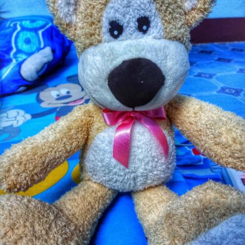 สมาชิกหมายเลข 5711026