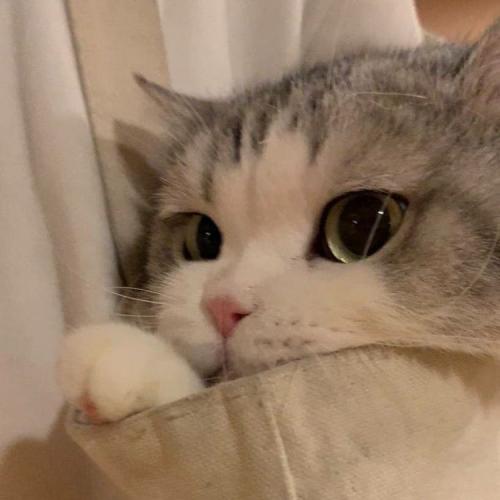 สมาชิกหมายเลข 6507270