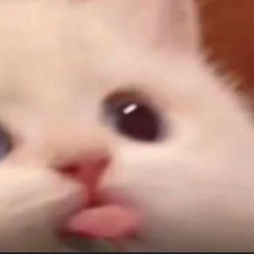 twothousandandtwentyone