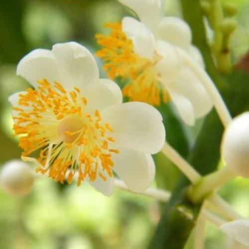 สมาชิกหมายเลข 7724500