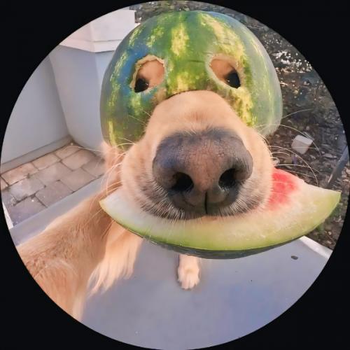 สมาชิกหมายเลข 7868018