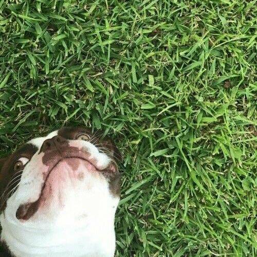 สมาชิกหมายเลข 2498795