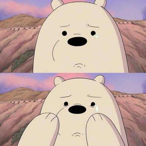 สมาชิกหมายเลข 4086823