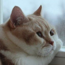 สมาชิกหมายเลข 1735775