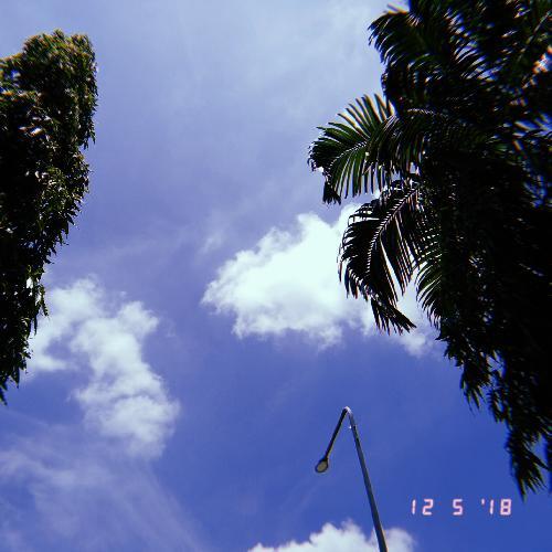 สมาชิกหมายเลข 3924290