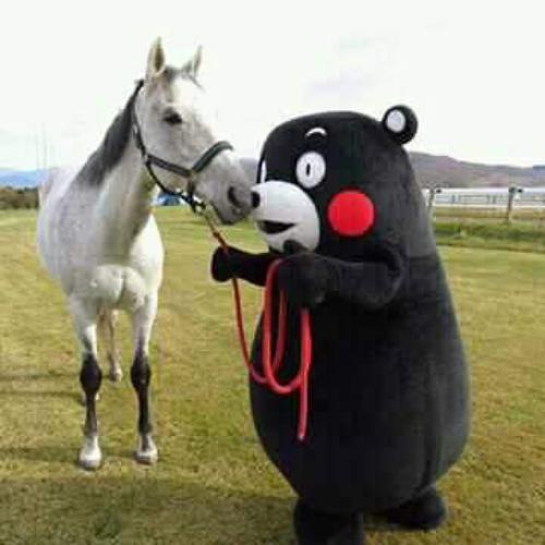 สมาชิกหมายเลข 4844023