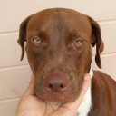 สมาชิกหมายเลข 2880021