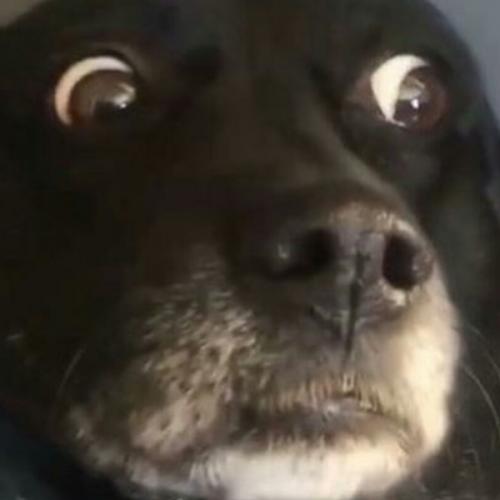 สมาชิกหมายเลข 6292523