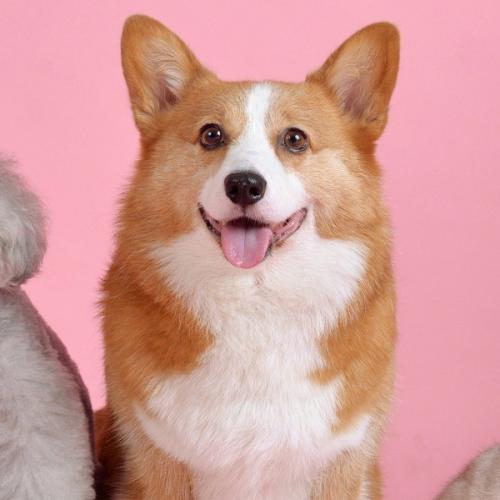 สมาชิกหมายเลข 5186796