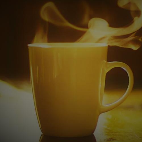 สมาชิกหมายเลข 7730831