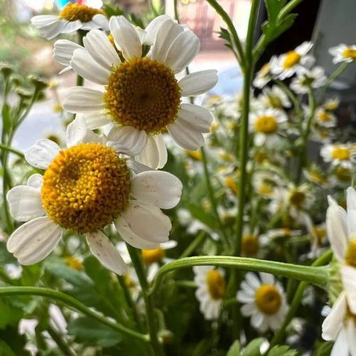 สมาชิกหมายเลข 1028925