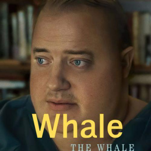 สมาชิกหมายเลข 6753070