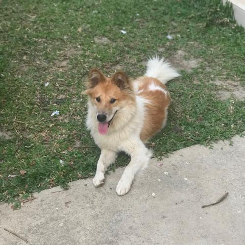 สมาชิกหมายเลข 4539021