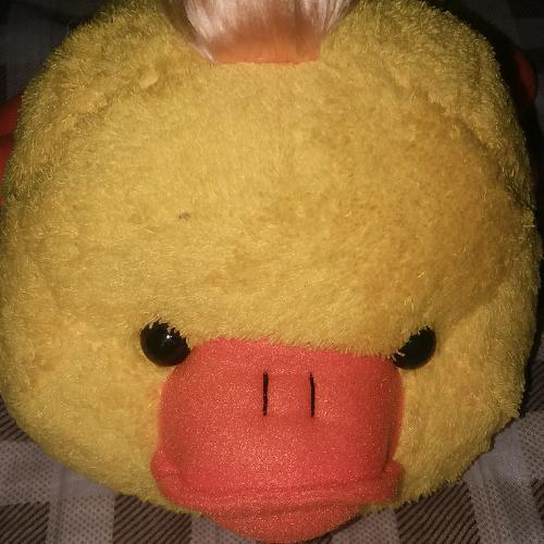 สมาชิกหมายเลข 4539137