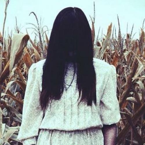 สมาชิกหมายเลข 4846537