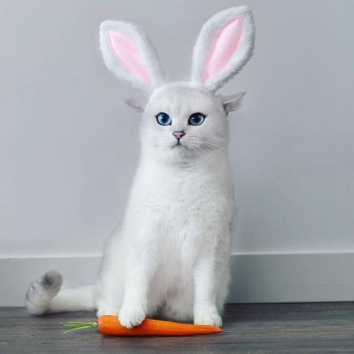 สมาชิกหมายเลข 3159183