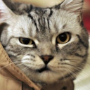 สมาชิกหมายเลข 5271491