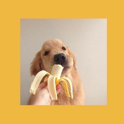 สมาชิกหมายเลข 3136636