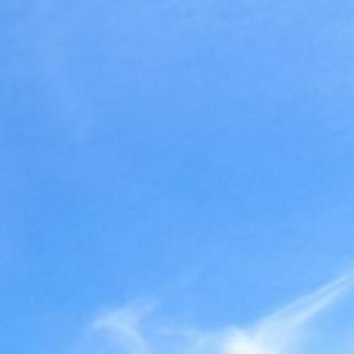 สมาชิกหมายเลข 3269981