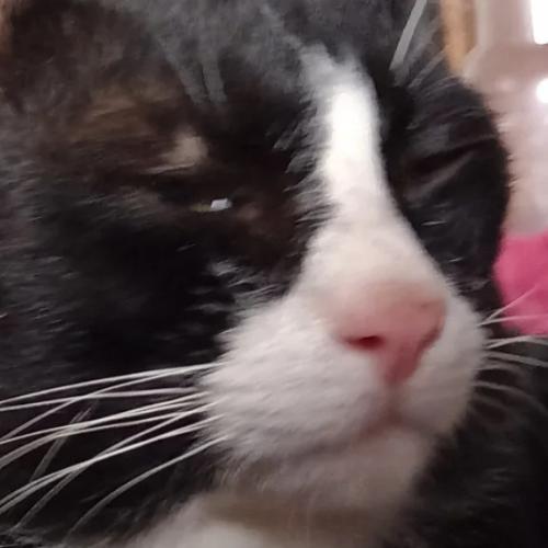 สมาชิกหมายเลข 3637787