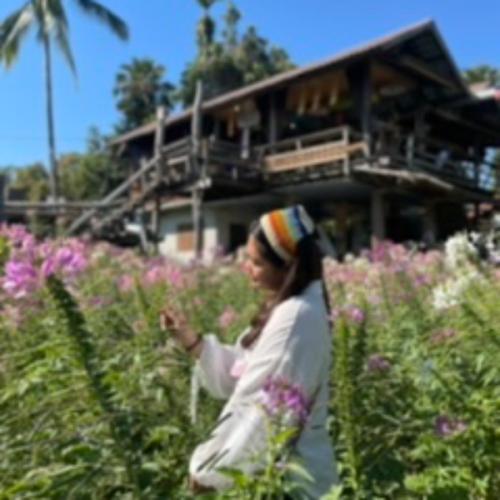 สมาชิกหมายเลข 4804227