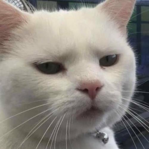 สมาชิกหมายเลข 8669469