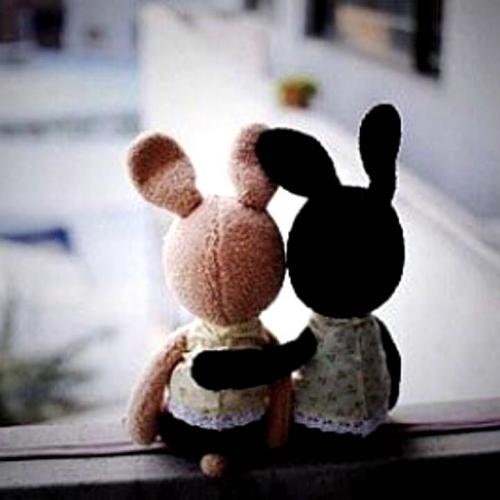 สมาชิกหมายเลข 4539355