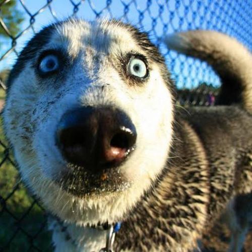 สมาชิกหมายเลข 5253674