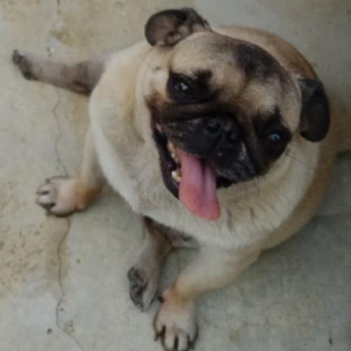 สมาชิกหมายเลข 1012537