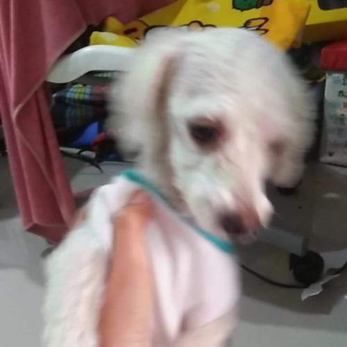 สมาชิกหมายเลข 4926674