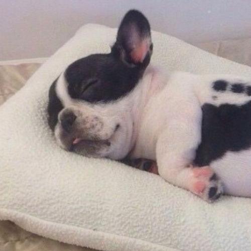 สมาชิกหมายเลข 5712908