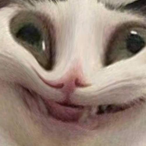 สมาชิกหมายเลข 3653990