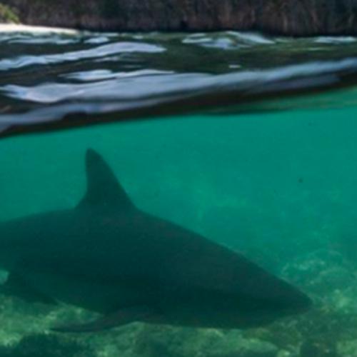 สมาชิกหมายเลข 6477176