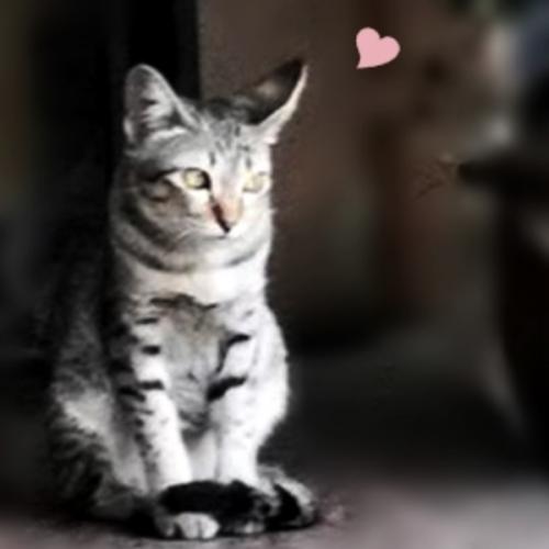 สมาชิกหมายเลข 6953786