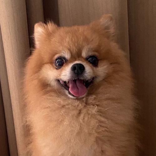 สมาชิกหมายเลข 4048255