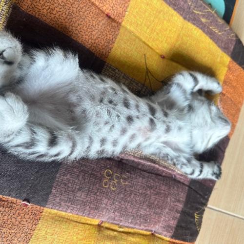 สมาชิกหมายเลข 5943803