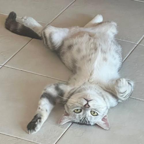 เจ็บสั้นดีกว่าปวดนาน