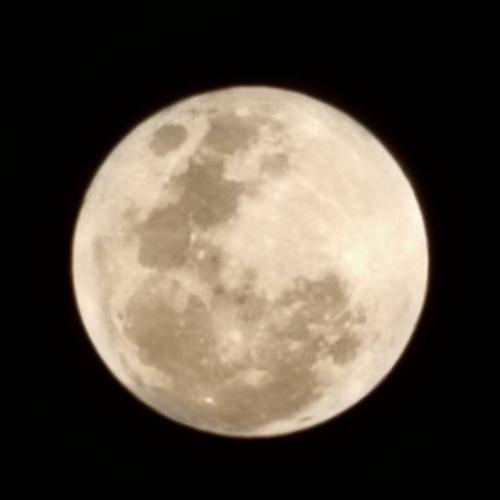 สมาชิกหมายเลข 7981791