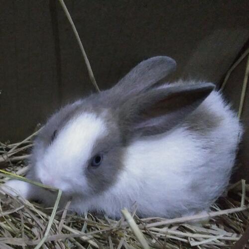 สมาชิกหมายเลข 3898333