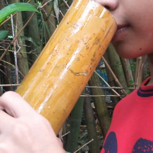 สมาชิกหมายเลข 4878291