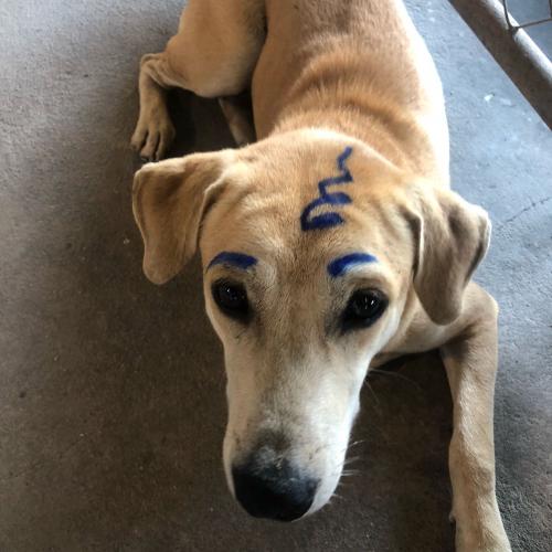 สมาชิกหมายเลข 4879161