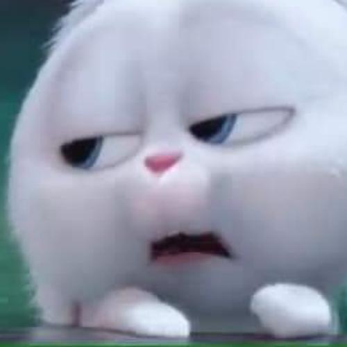 สมาชิกหมายเลข 3139437