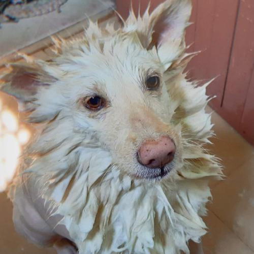 สมาชิกหมายเลข 4584431