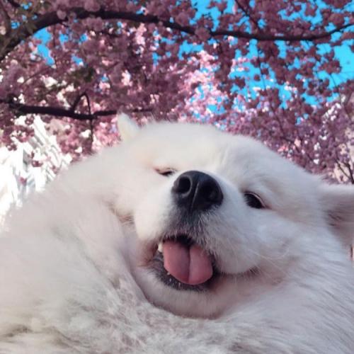 สมาชิกหมายเลข 4873328