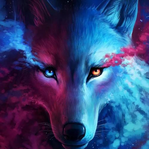 สมาชิกหมายเลข 4299051