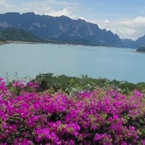 สมาชิกหมายเลข 4763165