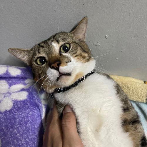 สมาชิกหมายเลข 6083995